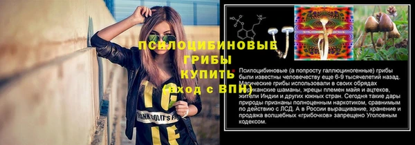 Альфа ПВП Осташков