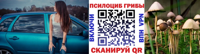продажа наркотиков  Бабаево  Псилоцибиновые грибы прущие грибы 