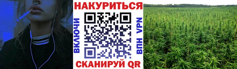 Канабис конопля  Бабаево 